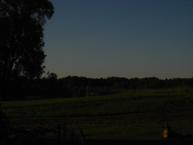 IMG_5009.JPG