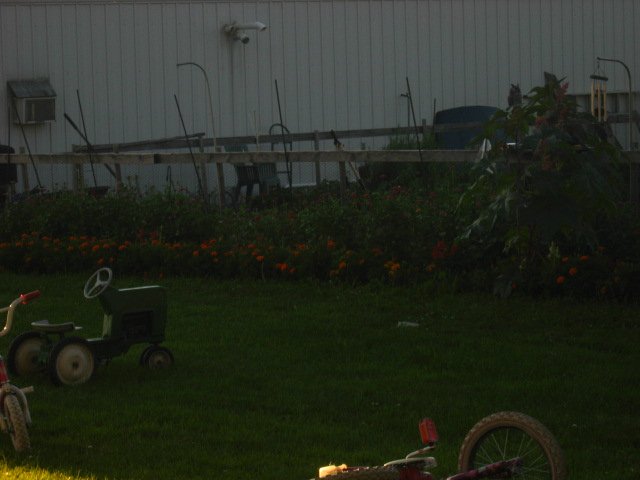IMG_5015.JPG