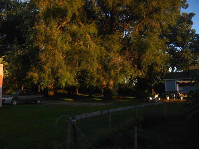 IMG_5022.JPG