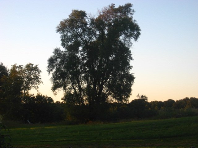 IMG_5043.JPG