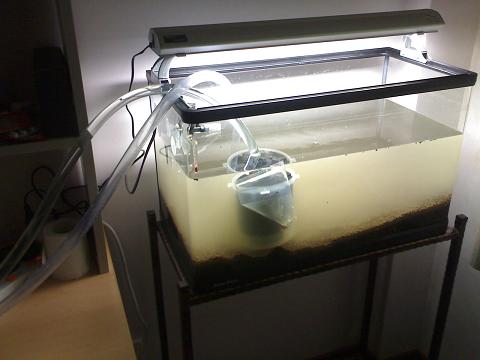 StrOwbErY6161.jpg StrOwbErY6161.jpg