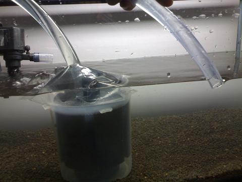 StrOwbErY6162.jpg StrOwbErY6162.jpg