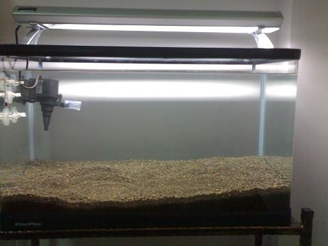 StrOwbErY6163.jpg StrOwbErY6163.jpg