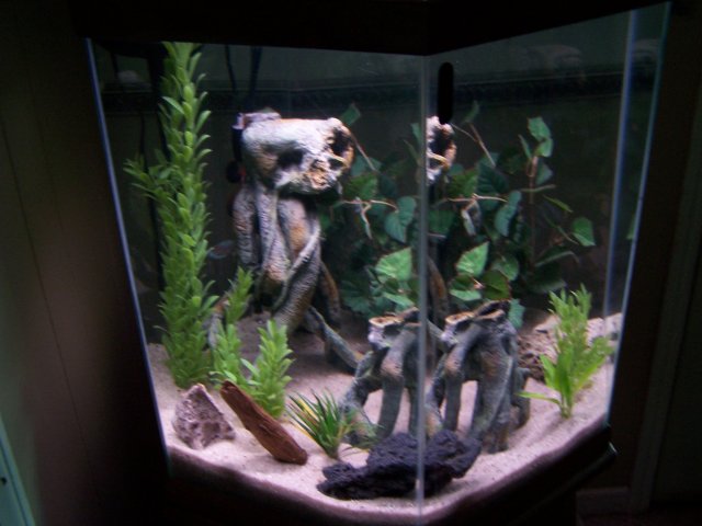 100_3864.jpg