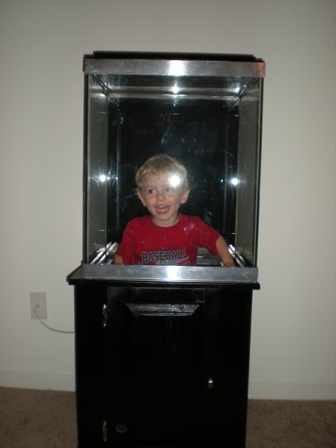 37g Fish tank 001.jpg