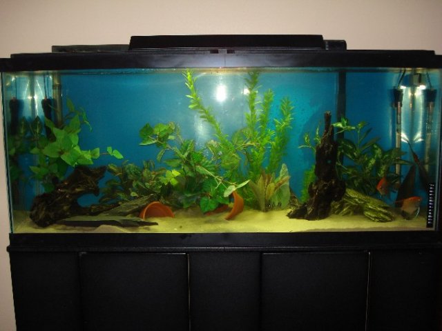 tank 003.jpg