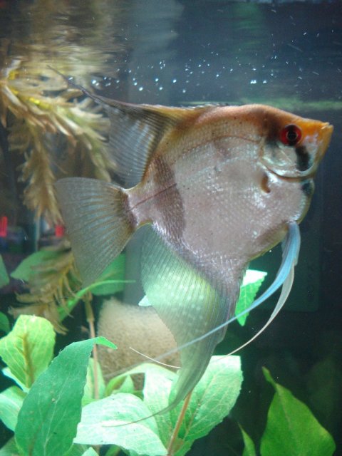 0806 003.jpg
