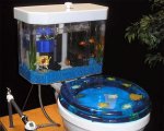 fishnflush.jpg fishnflush.jpg
