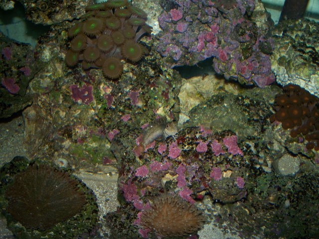 100_0339.jpg