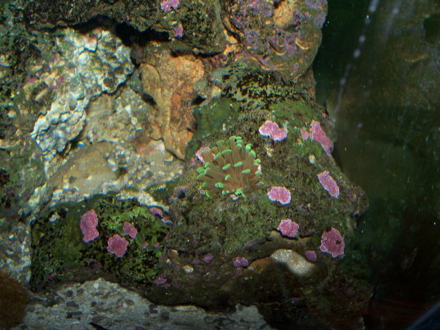 100_0333.jpg