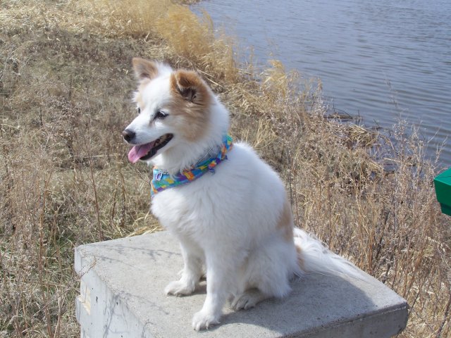Riverbank Discovery Center 002.jpg