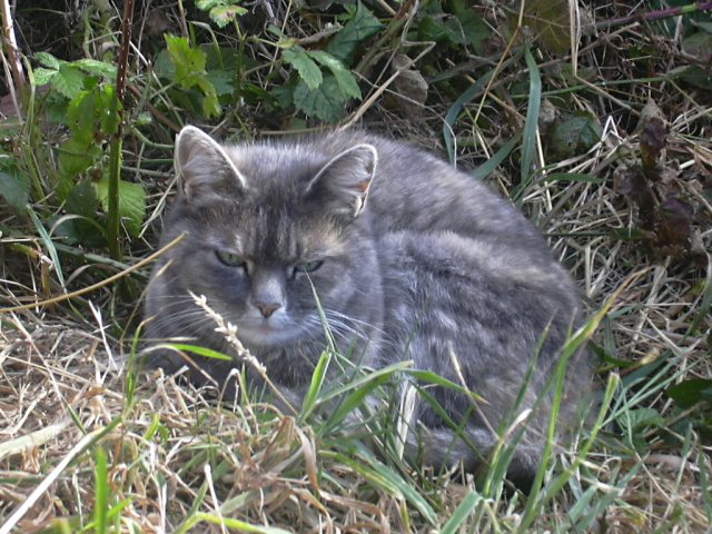 DSCN0133.jpg
