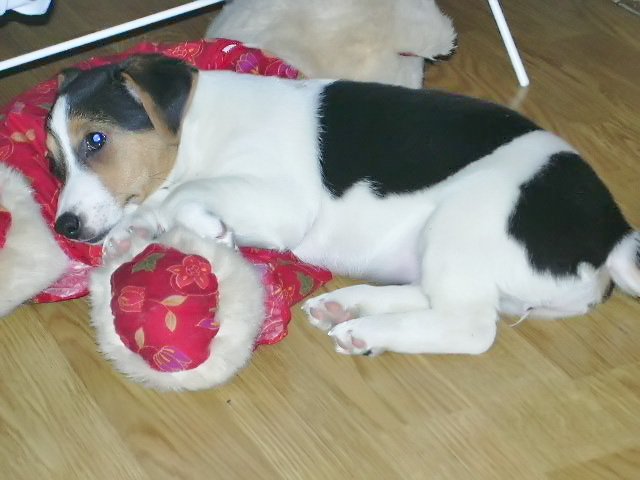 DSCN0194.jpg