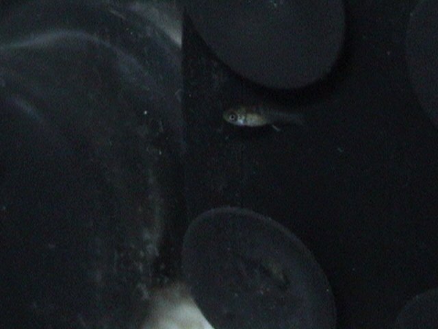 DSC00663.JPG
