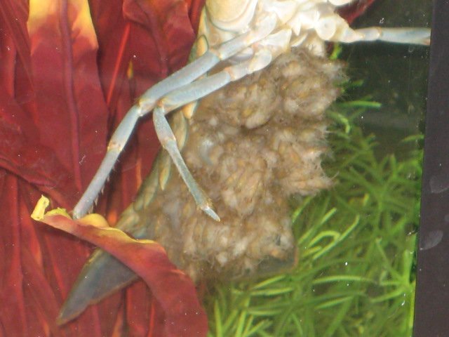 IMG_4060.JPG