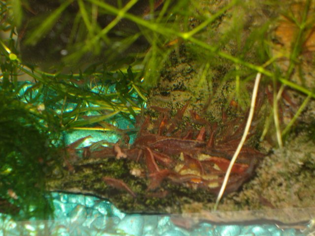 SANY0591.JPG