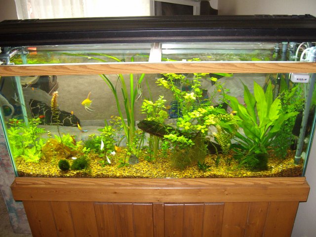 SANY0656.JPG
