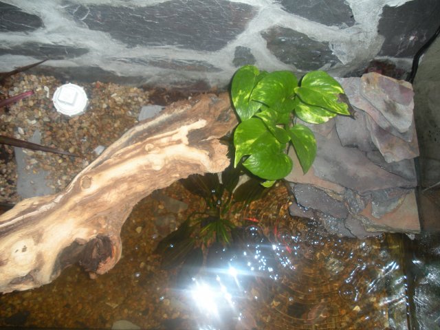 90 Top View Right.JPG