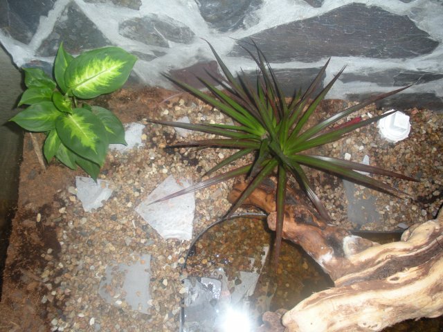 90 Top View Left.JPG