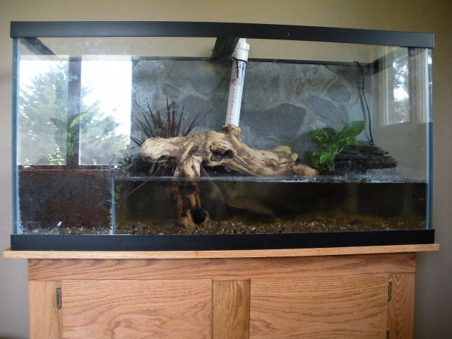 Front View 90.JPG