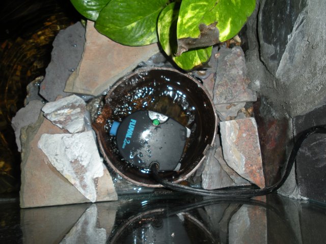 Filter Housing.JPG