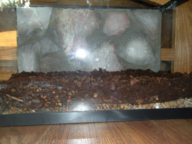 5.5 without plants..JPG