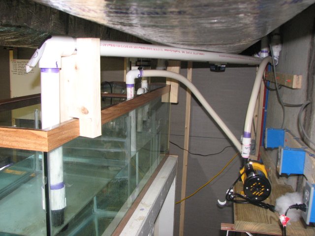 230 tank build - plumbing (3).JPG