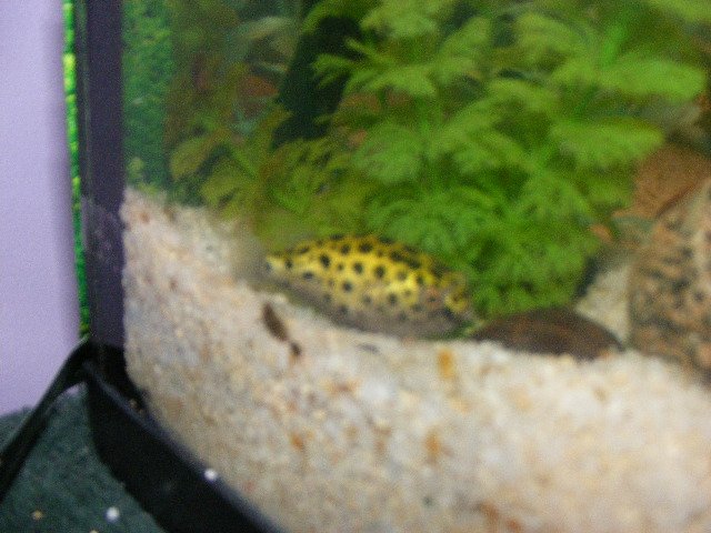DSCF2216.JPG DSCF2216.JPG