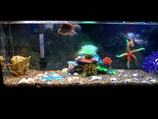 100_0735.JPG 100_0735.JPG