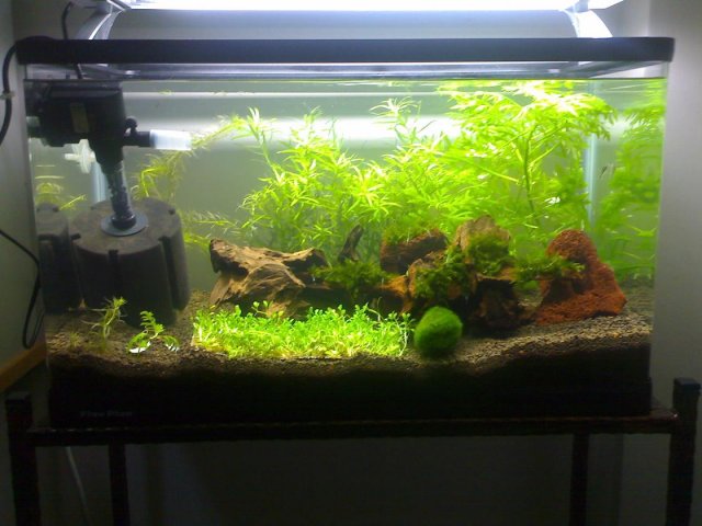 StrOwbErY6356.jpg StrOwbErY6356.jpg