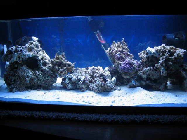 tank pics 048.jpg