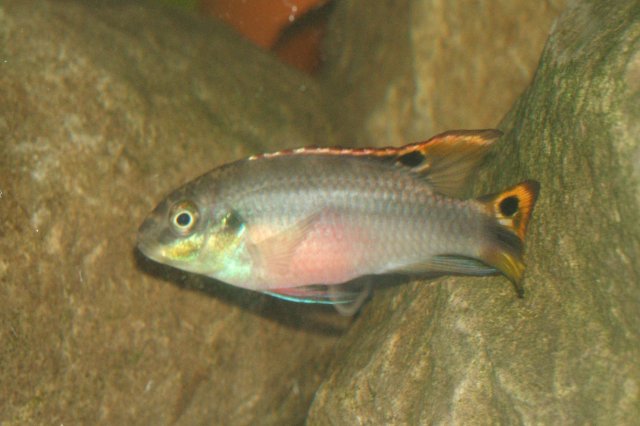 DSCF0388.JPG
