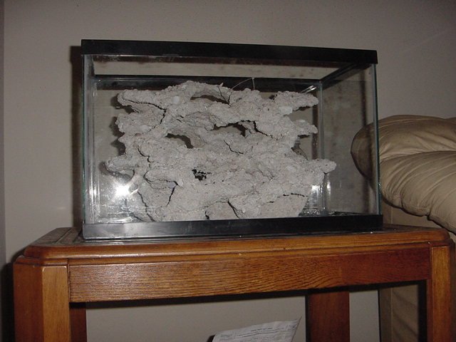 DSC03632.JPG