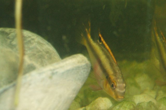 DSCF0399.JPG