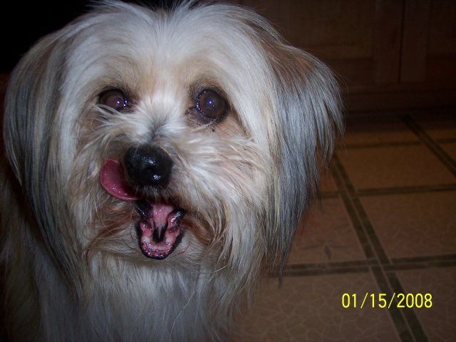 000_6040.JPG