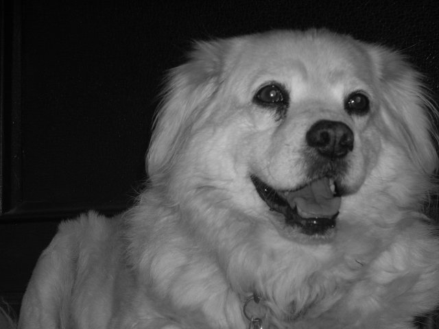DSCN2497.JPG