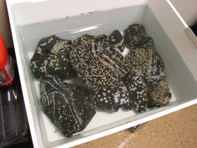 101-0177_IMG.JPG