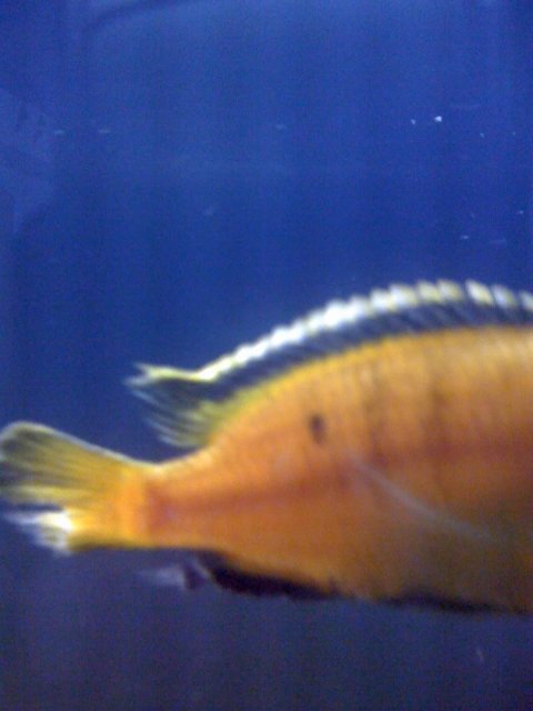 17-08-08_1511.jpg