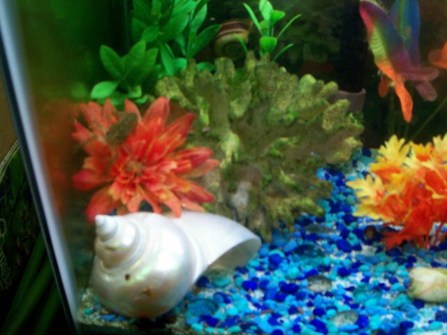 100_1465.JPG