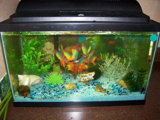Rescape08-08.JPG