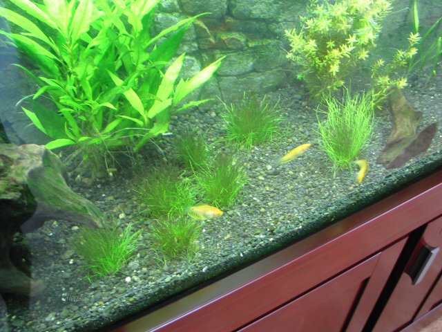 101-0200_IMG.JPG