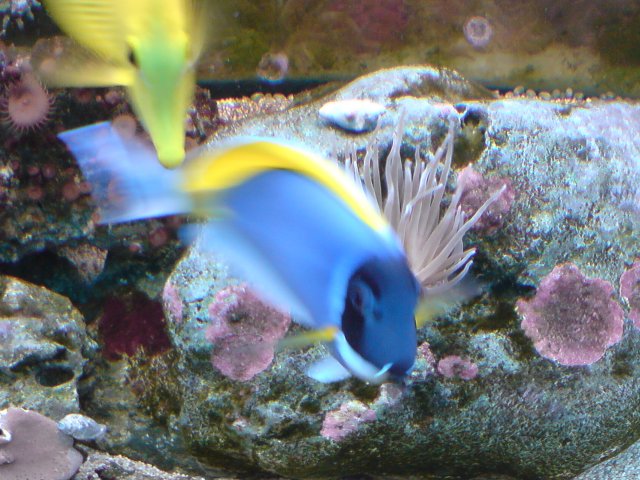 DSC00078.JPG