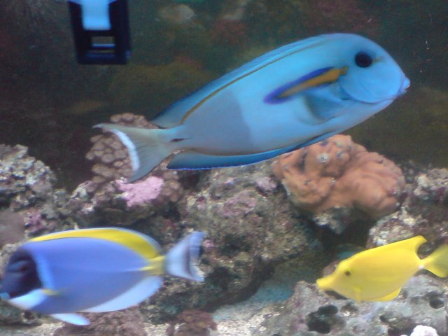 DSC00180.JPG