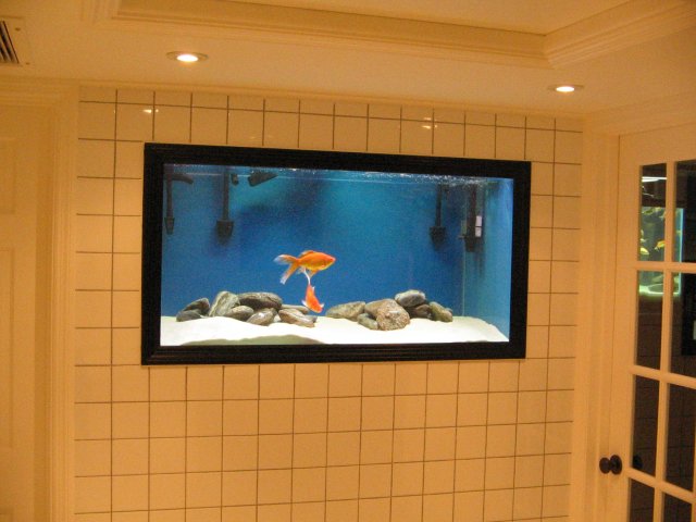 IMG_0015.JPG