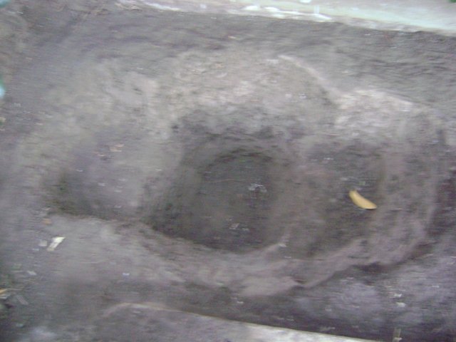 pond piciures 001.jpg