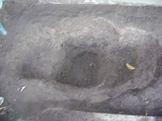 pond piciures 002.jpg