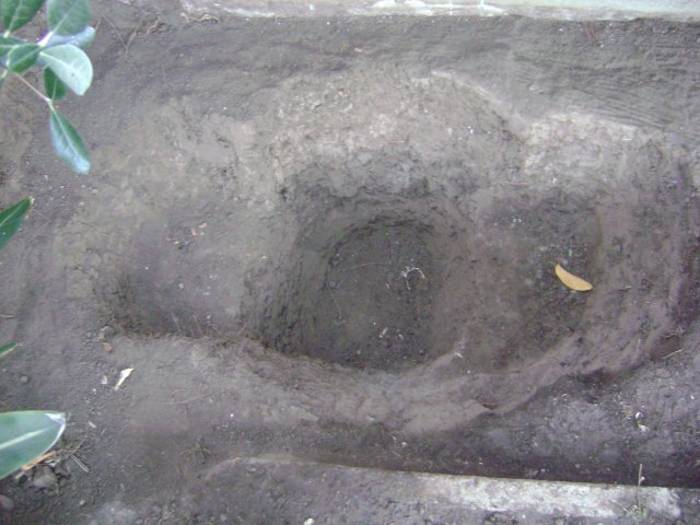 pond piciures 003.jpg