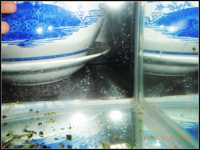 0706-1.jpg