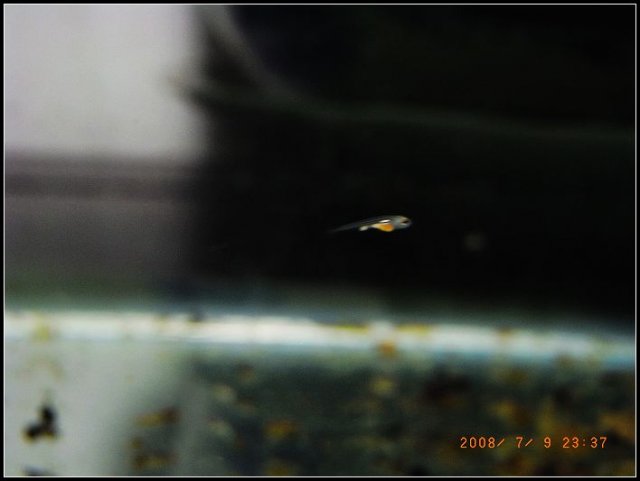 0709-2.jpg