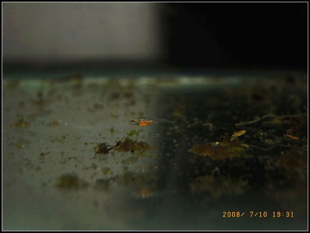 0710-1.jpg